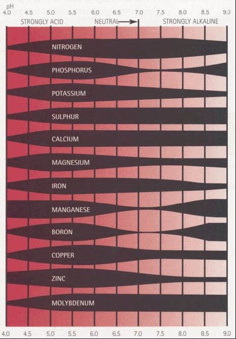 Ph Absorption Chart