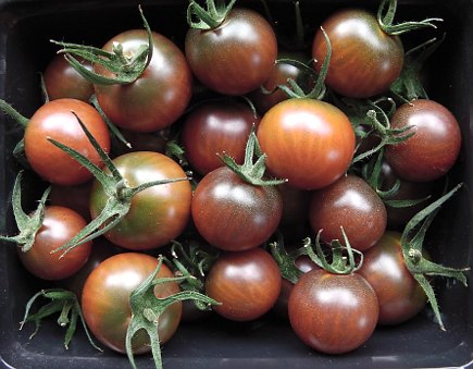 Choosing Tomato Varieties for 2018