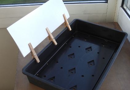 Tray useful for transplanting and seed sowing with reflector.