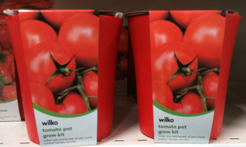 Tomato Grow Kits