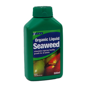 Organic Liquid Seaweed - great for transplanting tomato seedlings.
