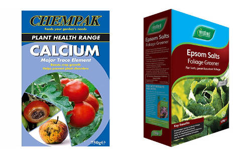 calcium and epsom salts for tomatoes