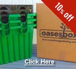Oasesbox SWP three pack