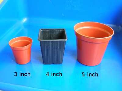 Pots for Seedlings
