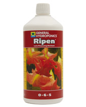 Tips To Ripen Tomatoes - ghe ripen forcing solution