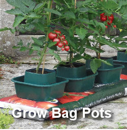Grow bag pots