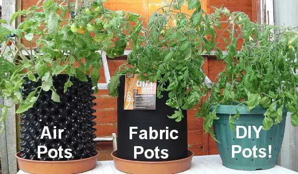 Three large pots for tomatoes that allow air into the root zone.