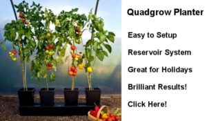 Quadgrow Planter
