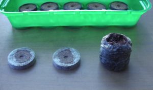 Jiffy 7 coir pellets for tomato seeds
